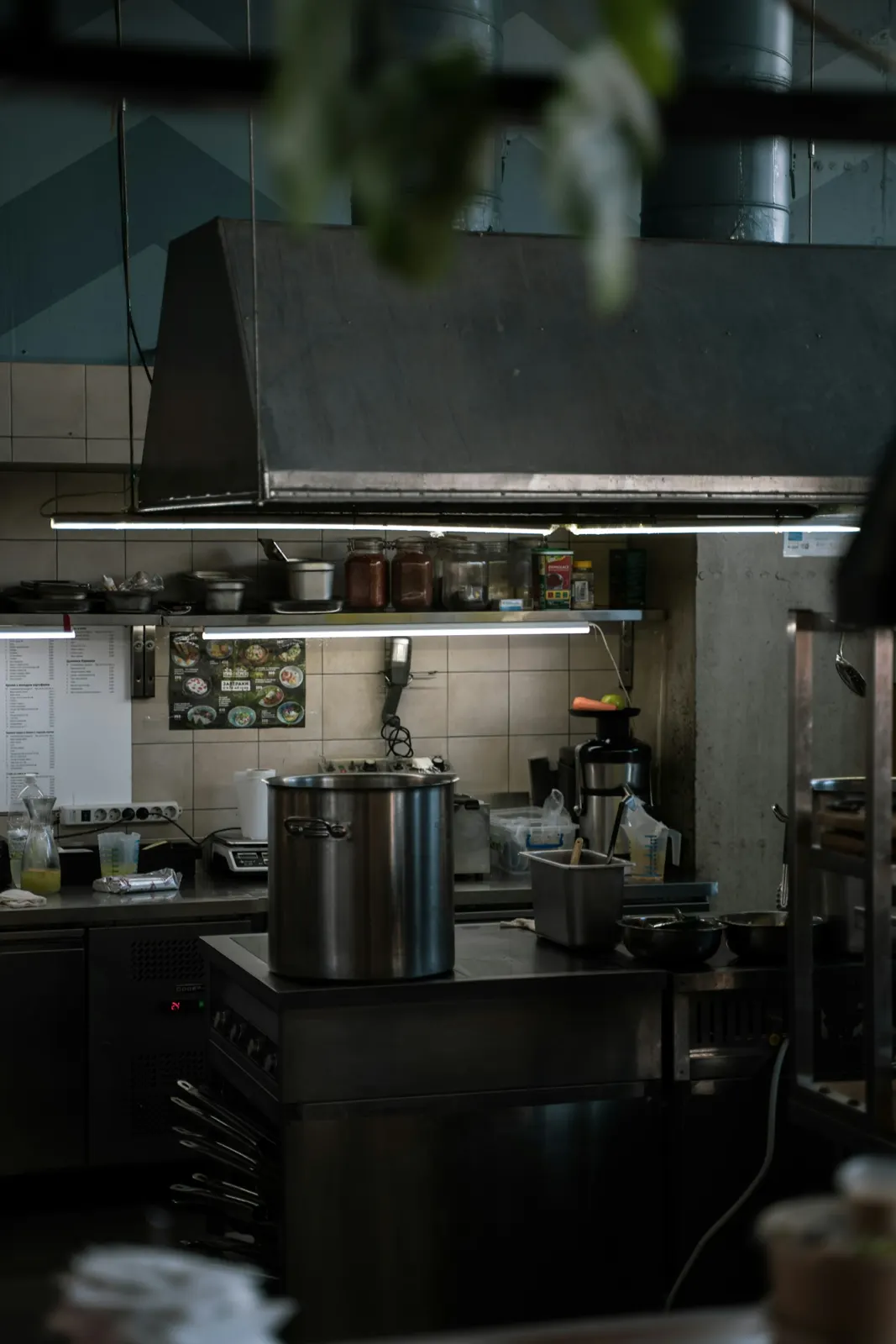 Cuisinière professionnelle